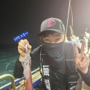 완도네시아 | 완도네시아 한치낚시 노바코어 유라유라 오동목 에기 사용 후기~