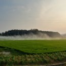 친환경 김포 이미지