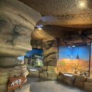 양서·파충류생태공원 2층 이미지