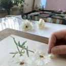 오일파스텔로 그리는 풍경화 이미지