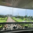 우수영초등학교 | 지리답사 후기 -제주도 다크투어리즘 관광지ㆍ우수영 문화마을 답사(2022.07.05~07)