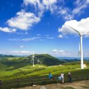 인구목장 이미지