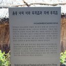 나리문구