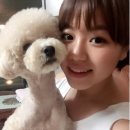 워너비헤어 이미지