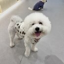 바우스쿨 이미지