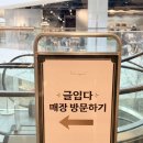 글입다 팝업 더현대 서울, 한정잉크, 시필, 소분잉크까지 (Fect.소공자, 슬픈 천명 리뷰)