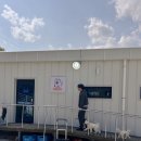 밀양 애견펜션 추천 ㅣ 개별운동장과 수영장까지 있는 포메리카노 모카 객실 내돈내산 후기