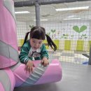 천전동 장난감은행 이미지