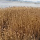 창산마을회관 이미지