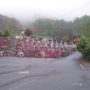 4월25(토) 100명산 충남 서대산 등산,금산 비단마을 산꽃 여행(1) 이미지