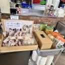 콩사랑마을 이미지