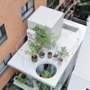 자연을 닮은 집 이미지