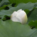 합천군산림조합 이미지