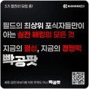 레드버그