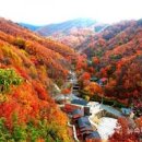 민주지산자연휴양림 이미지