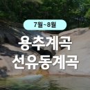 동천여행사 이미지