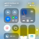 도깨비 | 일본 도쿄 여행 이심 추천 로밍도깨비 후기 💙 내돈내산 (유심사vs로밍도깨비 비교)