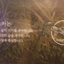 커피노바
