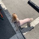 김밥나라원평점 이미지