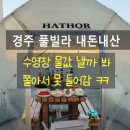 풀-마트 | [경주 여행] 파산맨의 1박 2일 하토르풀빌라 내돈내산 후기 (ft. 건천식자재마트 최고 ㅋㅋ)