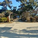 대부도 해바라기 펜션 이미지