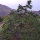 구암동387 이미지