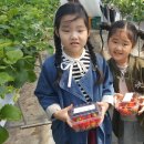 강호농장 이미지