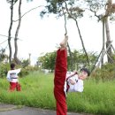 성동 태권도 이미지