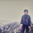 힐링워커스 이미지