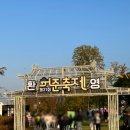 [#강서구허준축제] 제21회 허준축제 서울식물원 방문후기(feat.허준하자!)