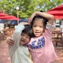 타이탄태권도 이미지