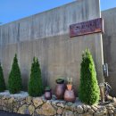 장전1038 이미지