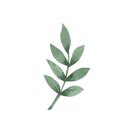 사임당로 115 (2) 이미지