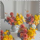 라라쉼터 이미지