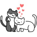 가평금잔디 이미지