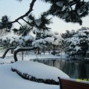 순남이네 이미지