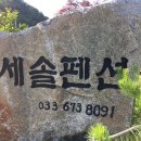 세솔팬션 이미지
