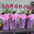 예천동부초등학교 이미지