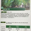 농촌체험코스(남부) | 베트남 호치민 여행 :) 아이와 메콩강 투어- 체험 상세 후기