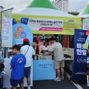 2024 울산고래축제 후기