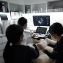 내과동물병원 루미나 | 강아지·고양이 건강검진 8월 심장초음파 혜택 이벤트 - 내과동물병원 루미나