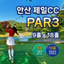 상록골프연습장 | [파3골프장] 제일CC 파3 안산 숏게임연습장 9홀｜18홀 연속 방문 후기