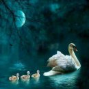 아기새어린이집 이미지