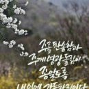 에벤에셀 이미지