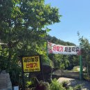 새터농장 네이버블로그