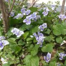 남한강변길 이미지