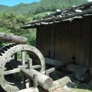 통리5일장 이미지