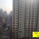 백송공원 화장실 네이버블로그