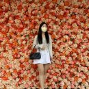 플랙갤러리아