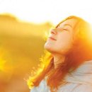 테라브런치 이미지